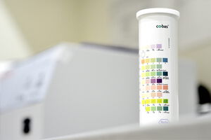 Eigenes Labor für umfangreiche Analysen.